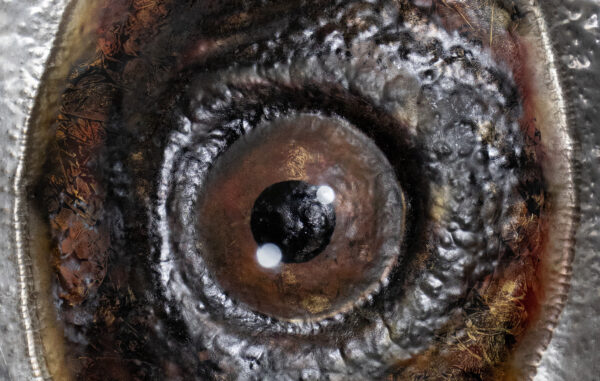 SPINA DE MÜL (SCREAM) - Image 2