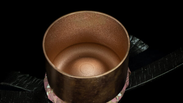 OXYBOWL - Image 2