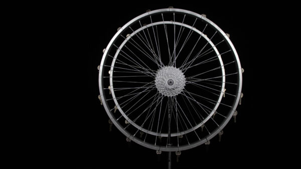 BIKEYS (HAIL) - Image 2