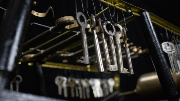 GENDER WRENCH - Image 3