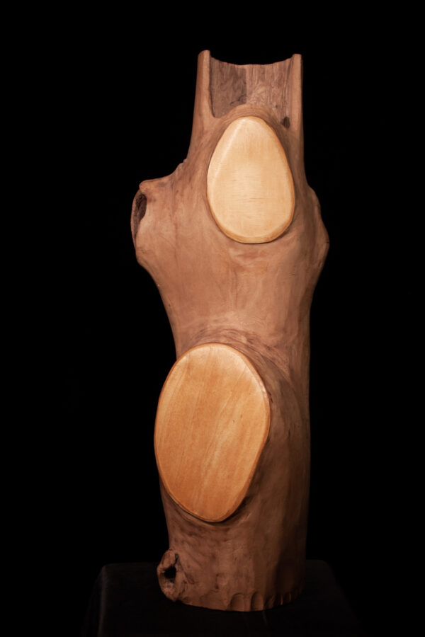 BAUMBONGO - Image 2
