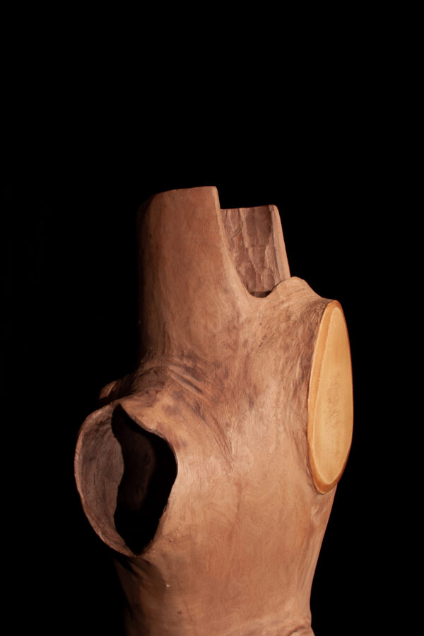 BAUMBONGO - Image 4
