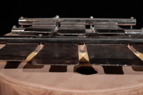 CROCODILE - Image 3